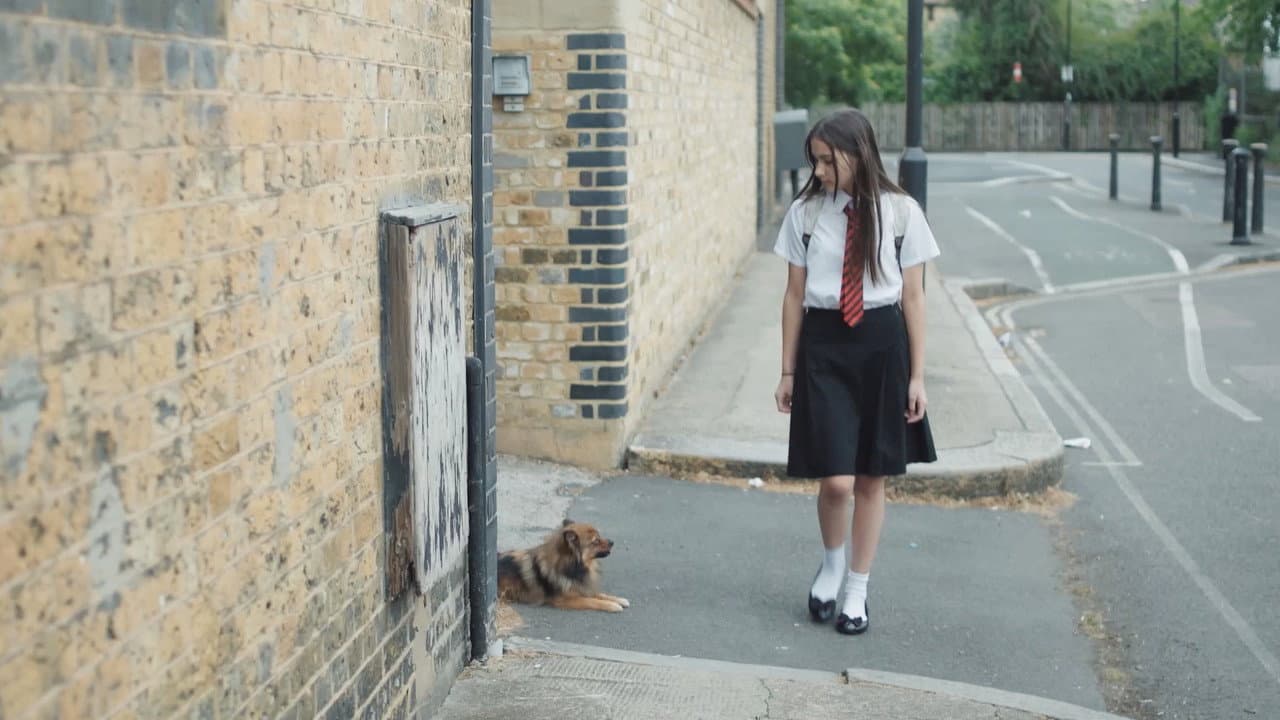Backdrop – Dog Days