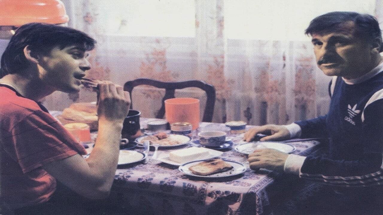 Backdrop – Pejzaži u magli