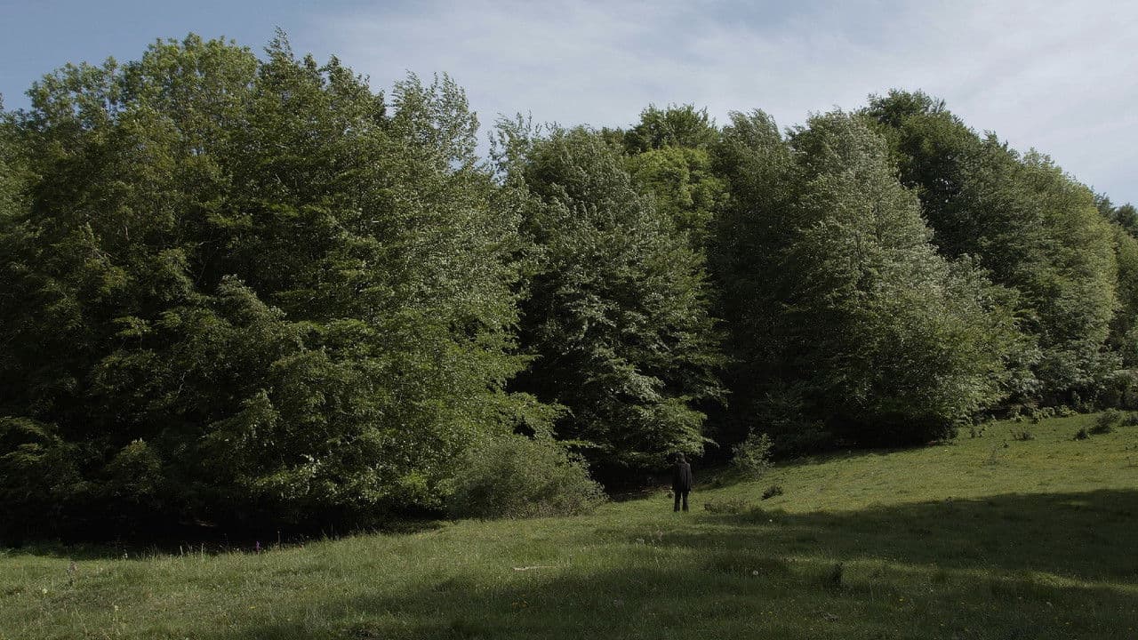 Backdrop – La Malesa