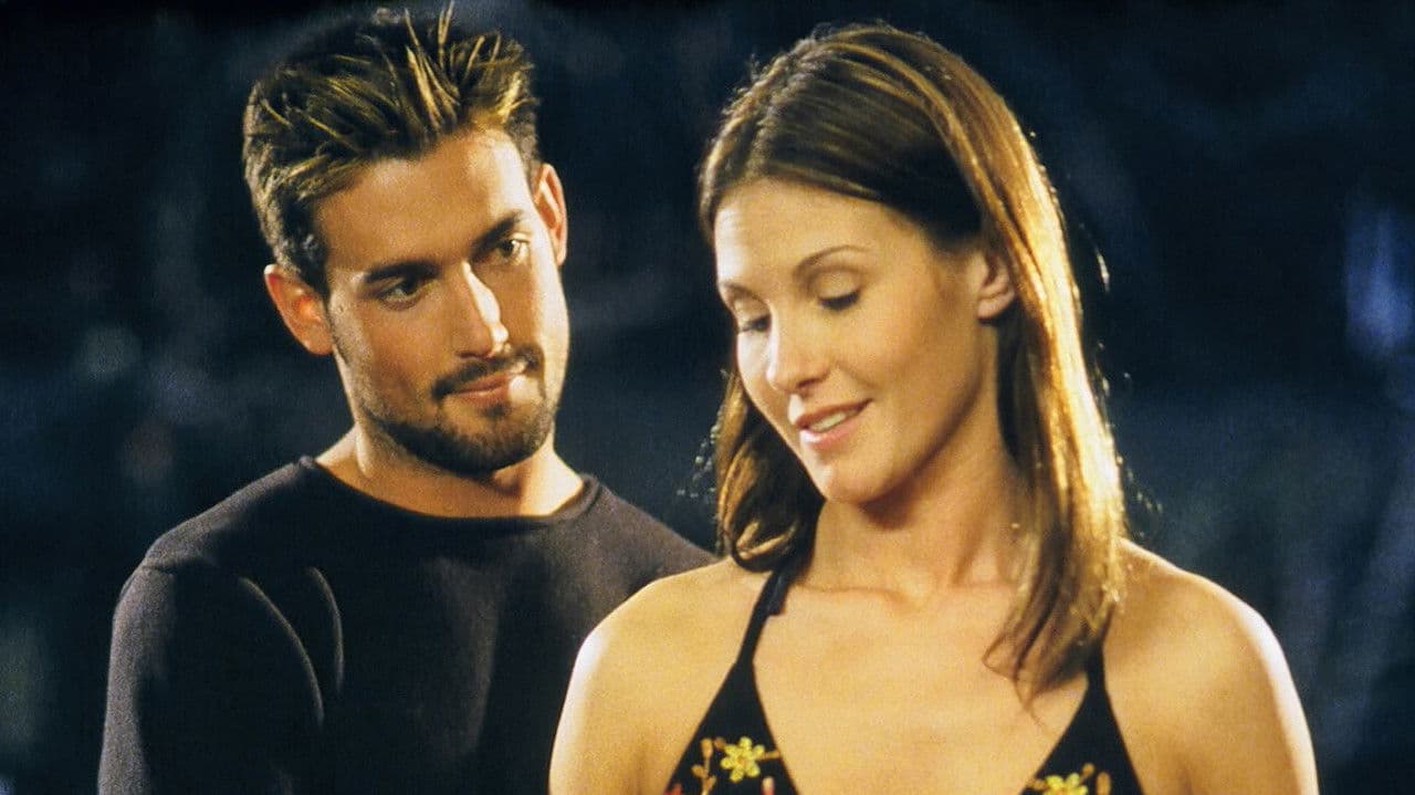 Backdrop – Fighting Words