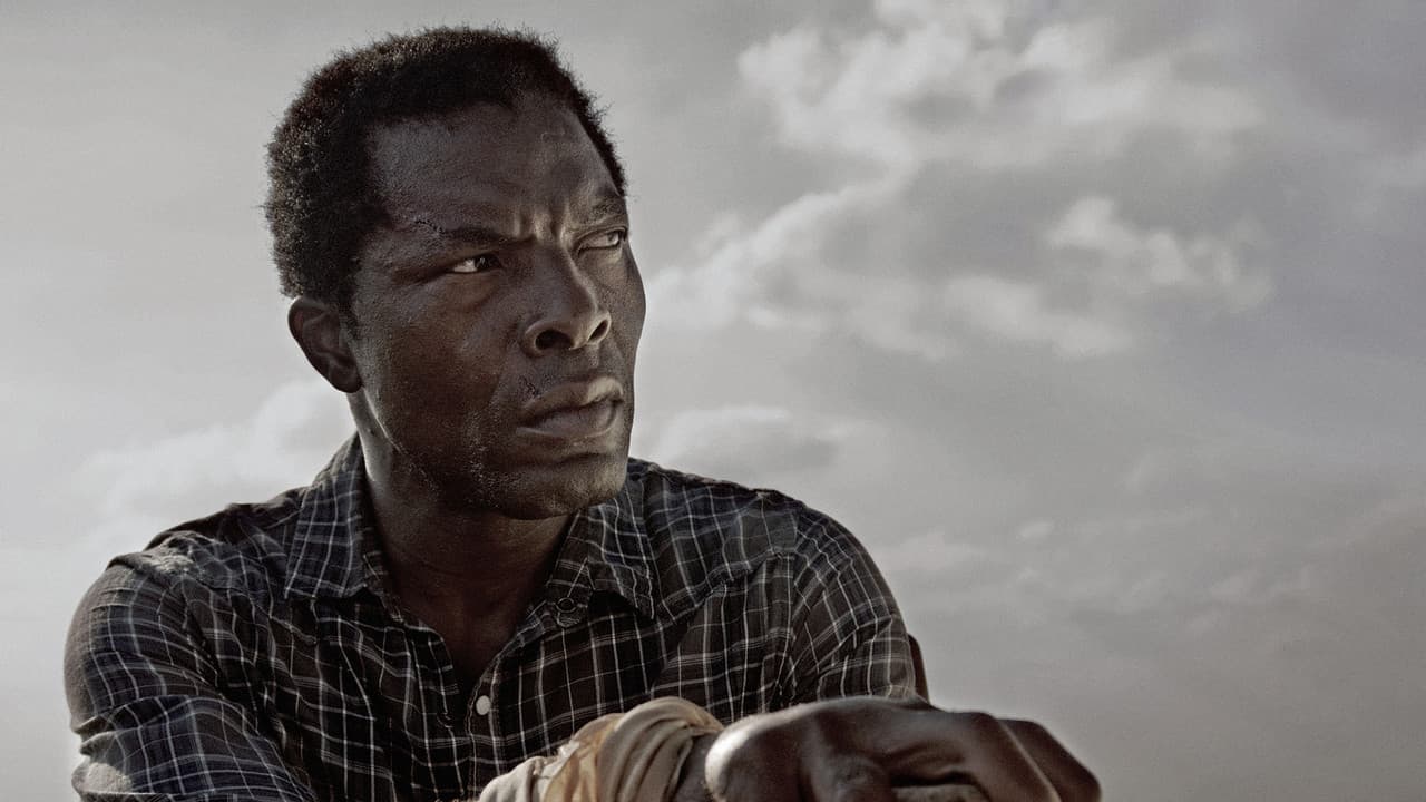 Backdrop – Délibáb