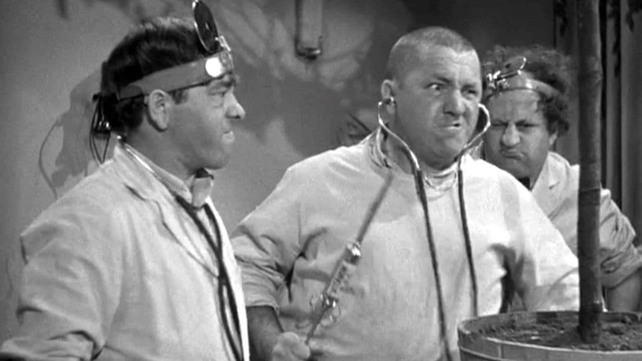 Backdrop – Some More of Samoa