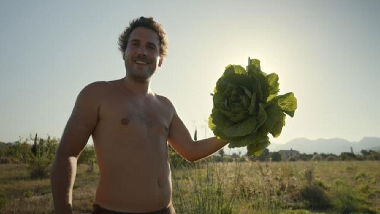 Backdrop – Step by Step