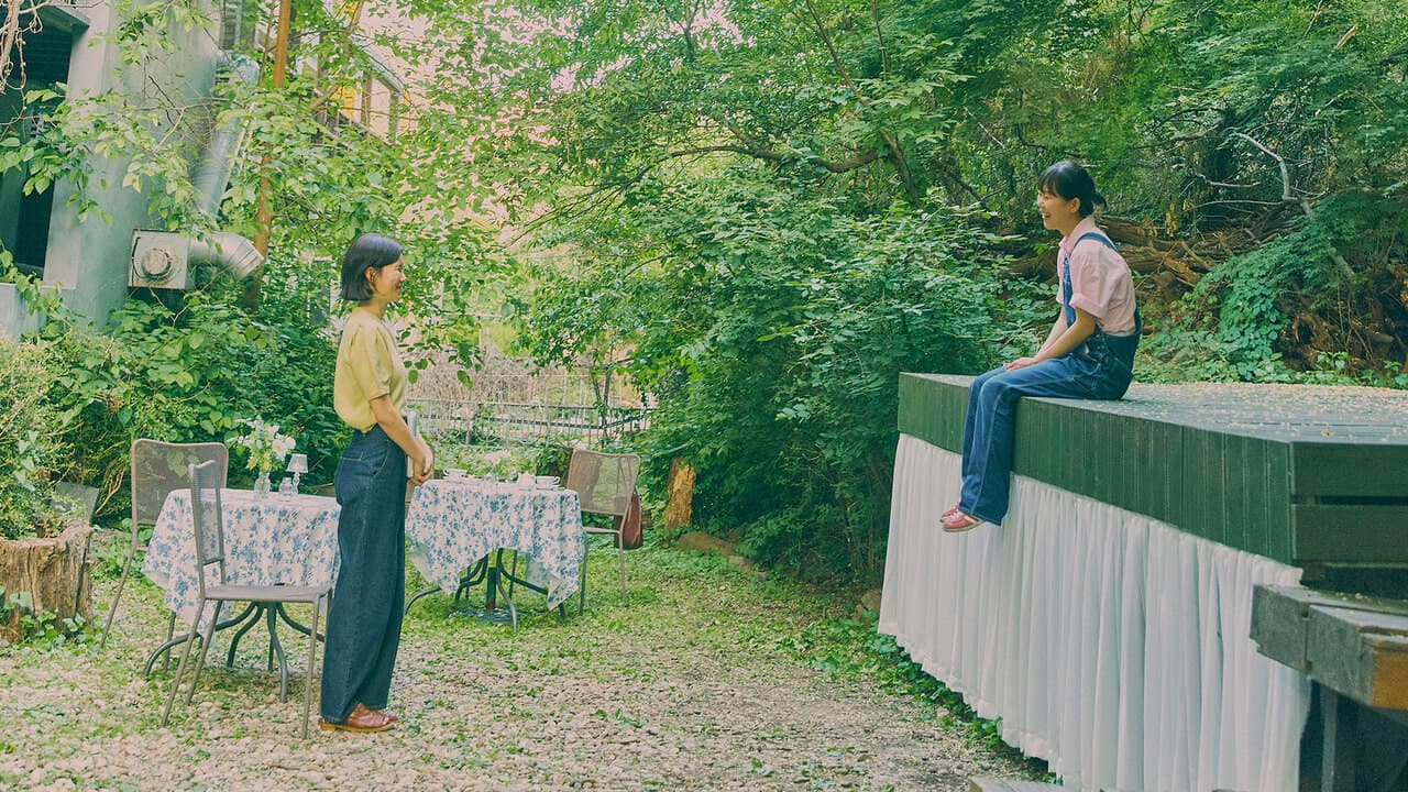 Backdrop – 잘 봤다는 말 대신