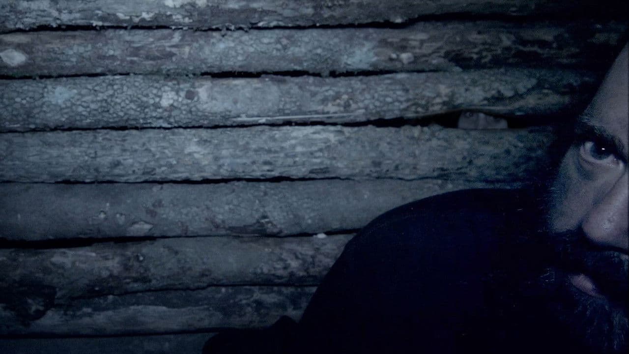 Backdrop – Survive the Hollow Shoals