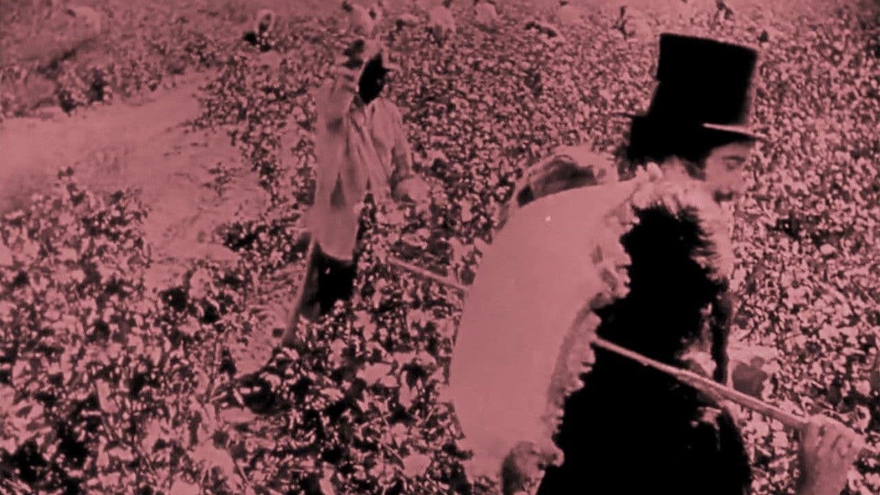 Backdrop – Birth of a Nation