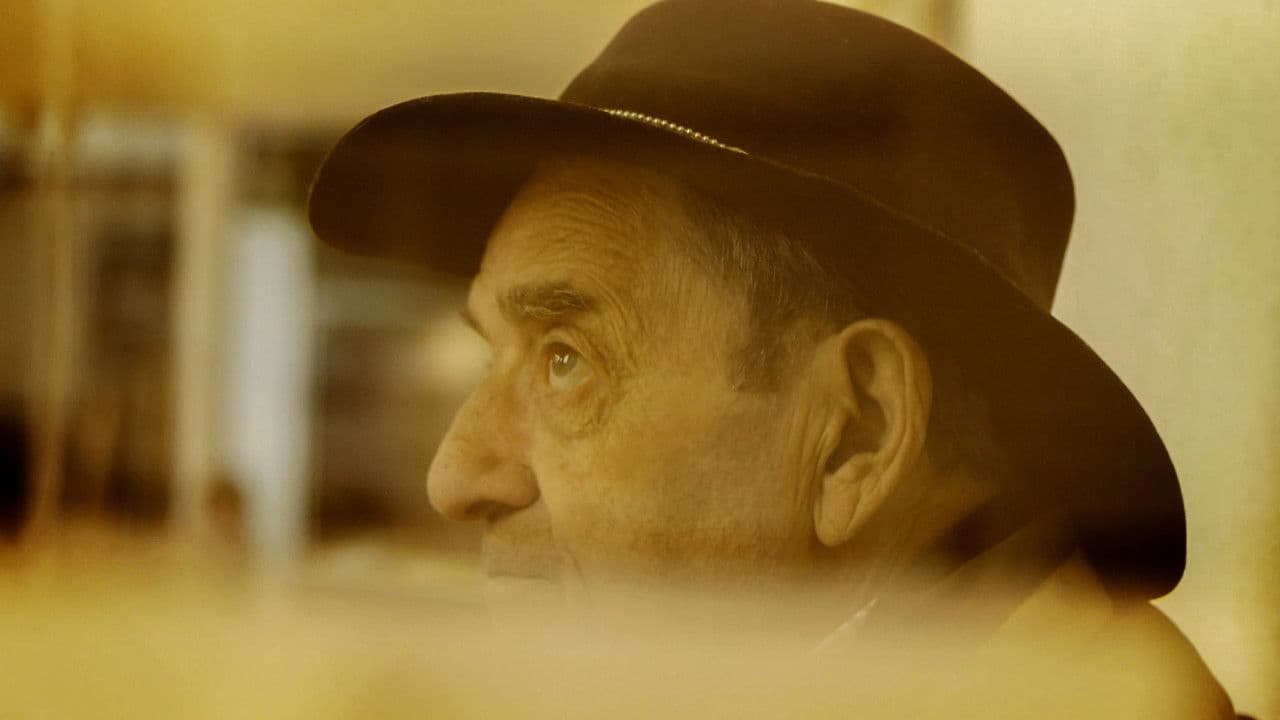 Backdrop – Dinolandia