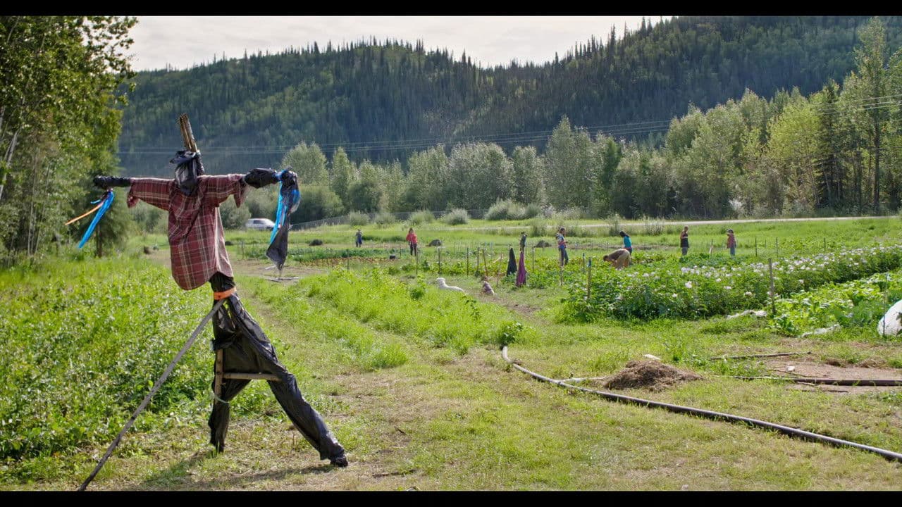 Backdrop – Sovereign Soil