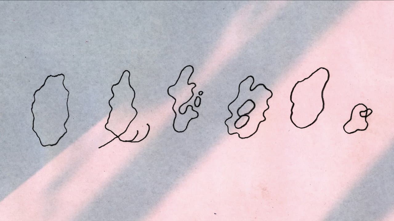Backdrop – とうきょう