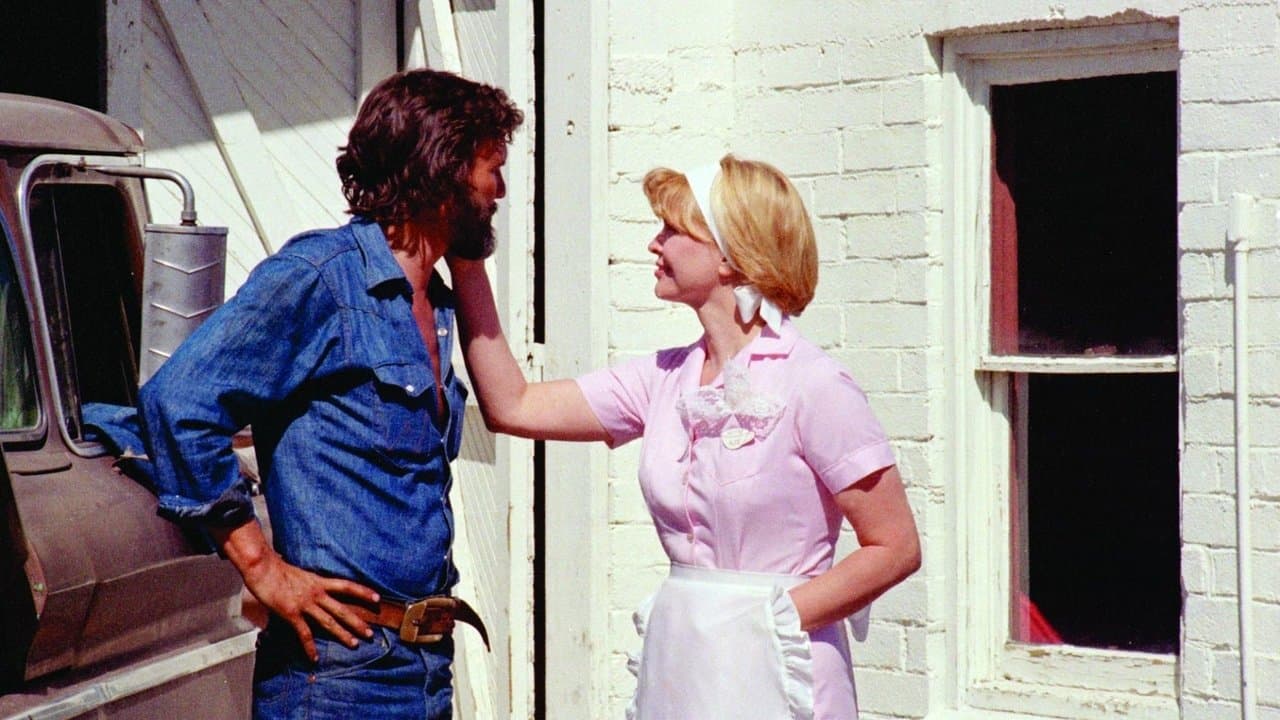 Backdrop – Alice lebt hier nicht mehr