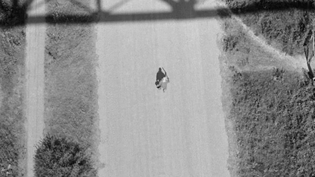 Backdrop – Antigravitacija