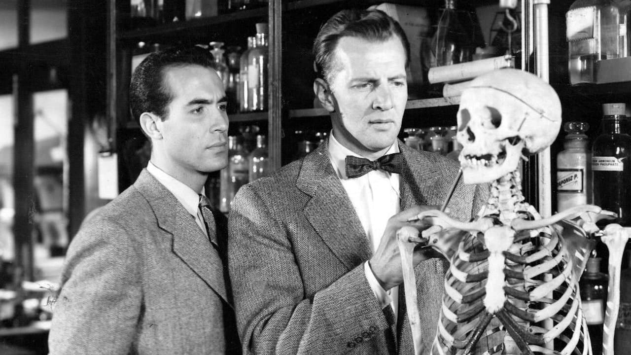 Backdrop – Die Tote in den Dünen