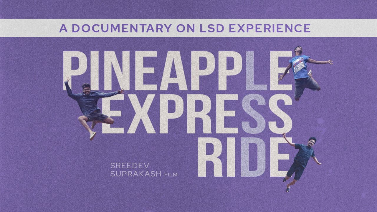 Backdrop – Pineapple Express Ride