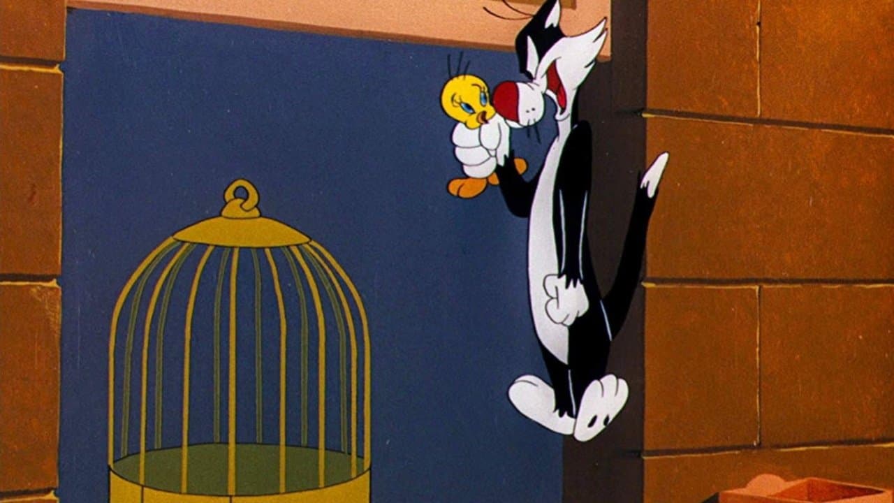 Backdrop – Verkleidungskünstler