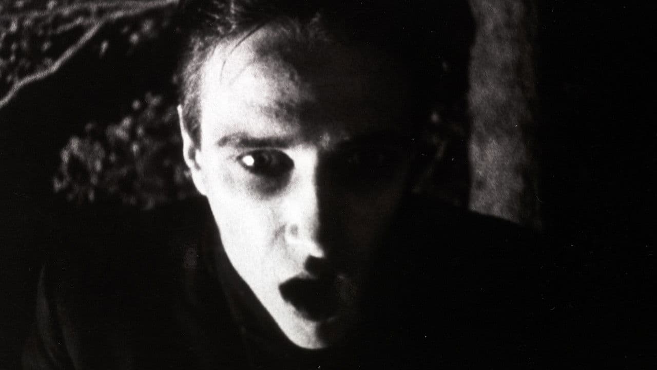 Backdrop – Strasek, der Vampir