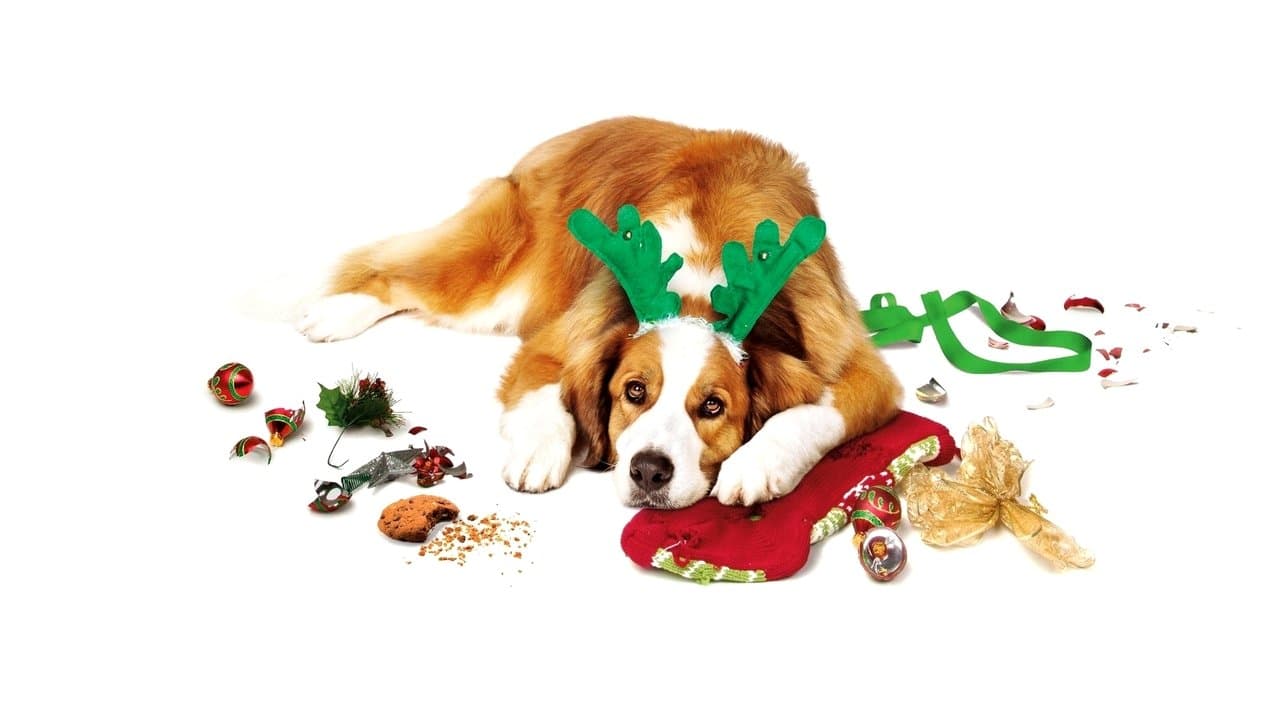 Backdrop – Alle Jahre wieder - Weihnachten mit den Coopers