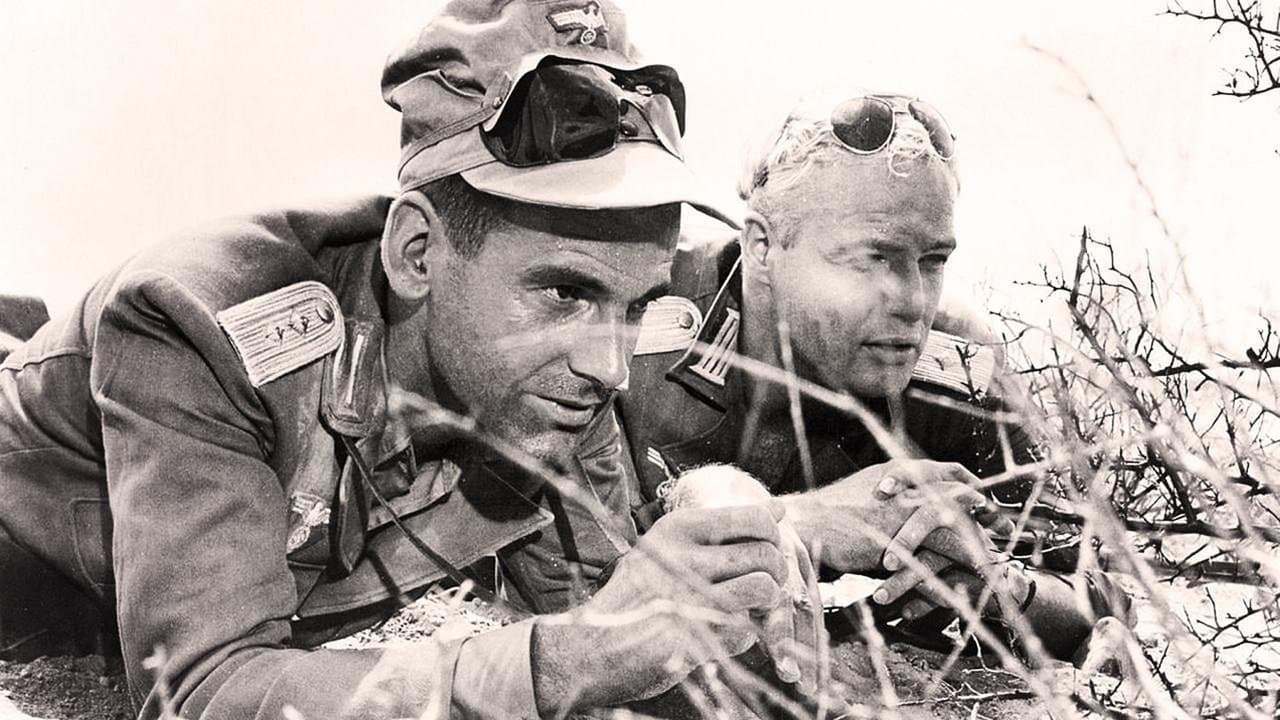 Backdrop – Die jungen Löwen