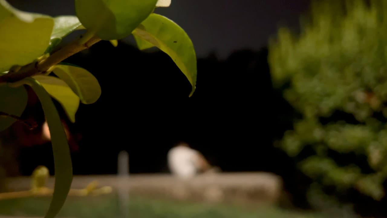 Backdrop – CONDENSAZIONE