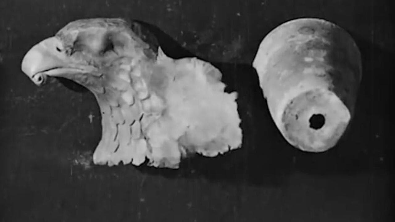 Backdrop – Animated Putty