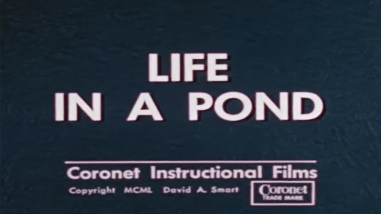 Backdrop – Life in a Pond