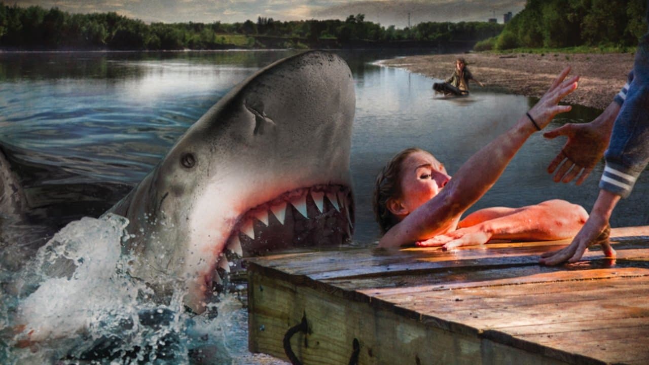 Backdrop – Summer Shark Attack