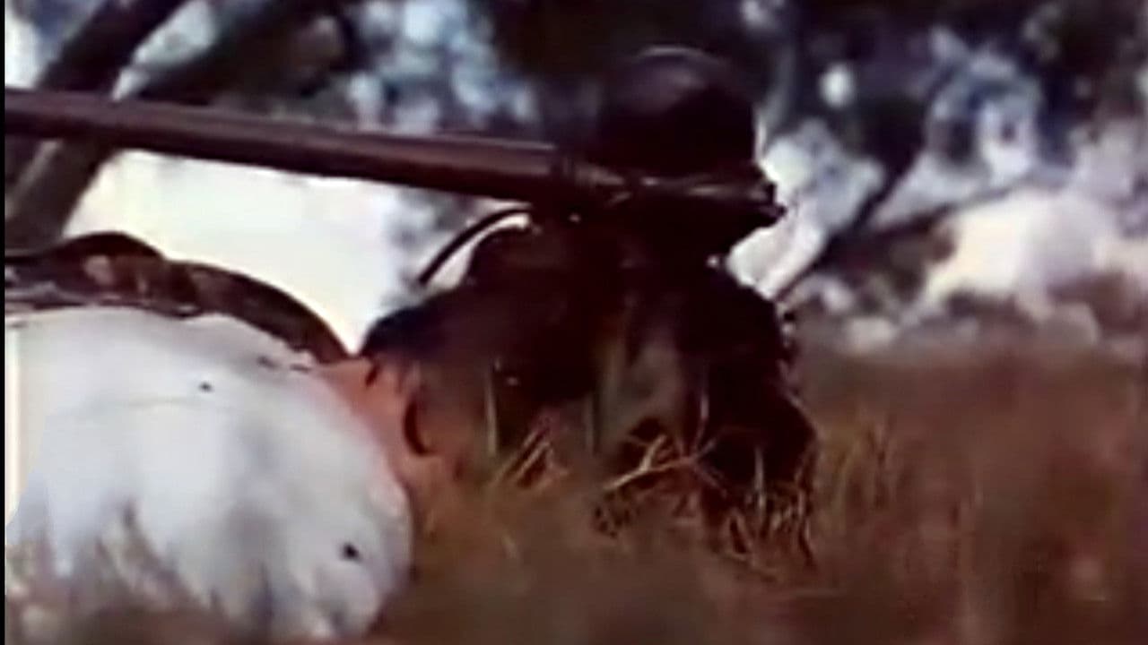 Backdrop – Demon Warrior