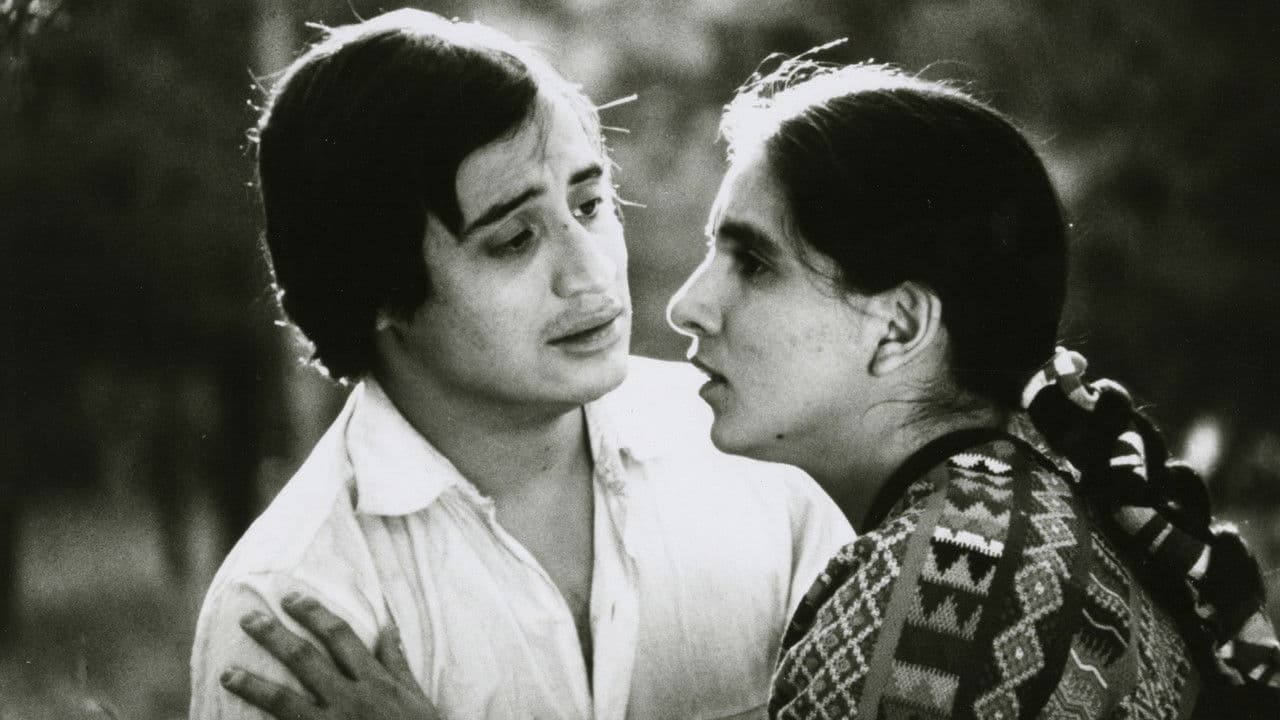 Backdrop – El Norte