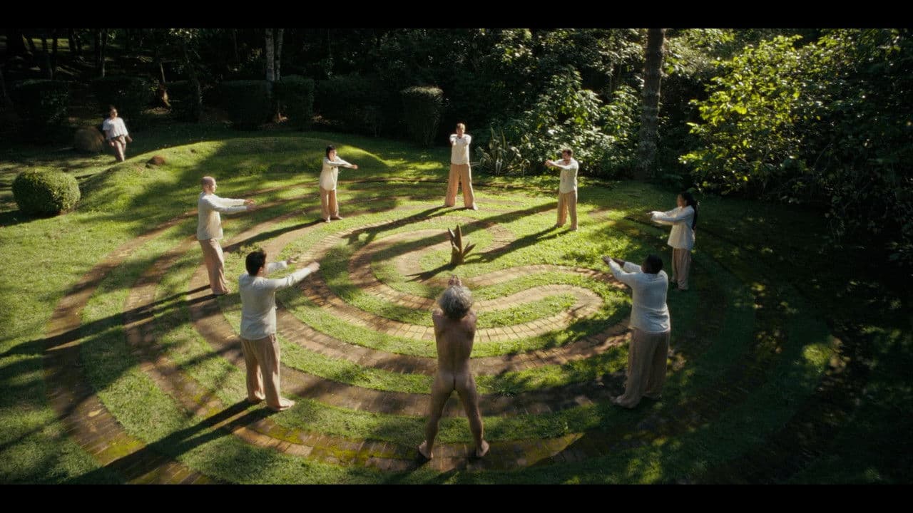 Backdrop – The Farm