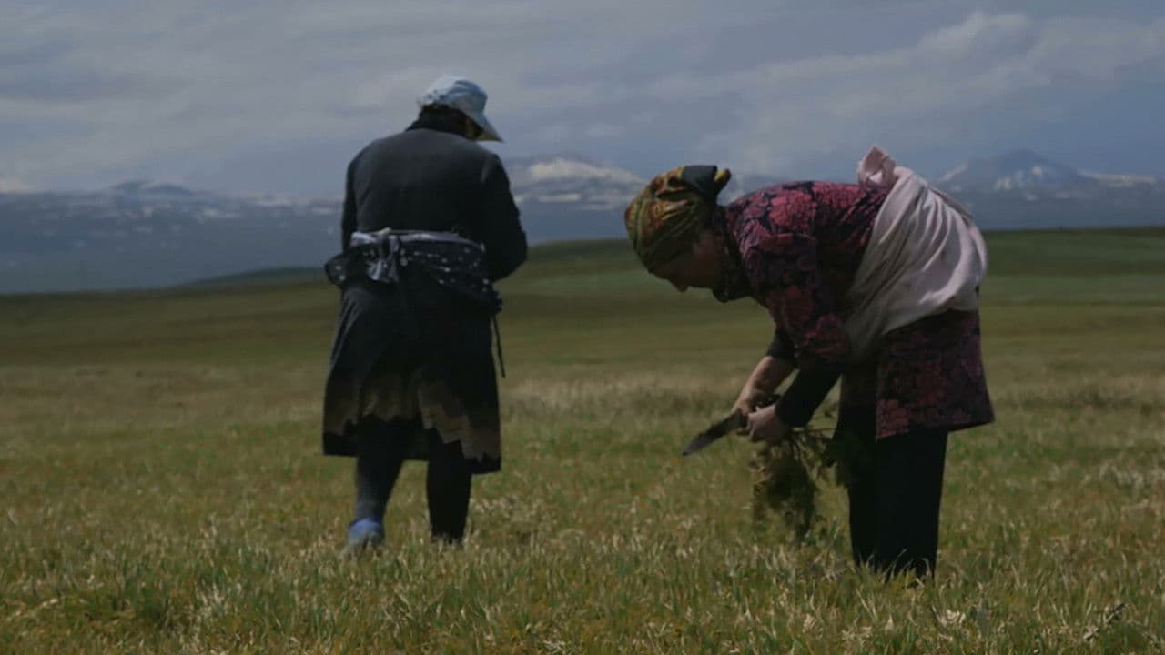 Backdrop – Կանանց Գյուղը