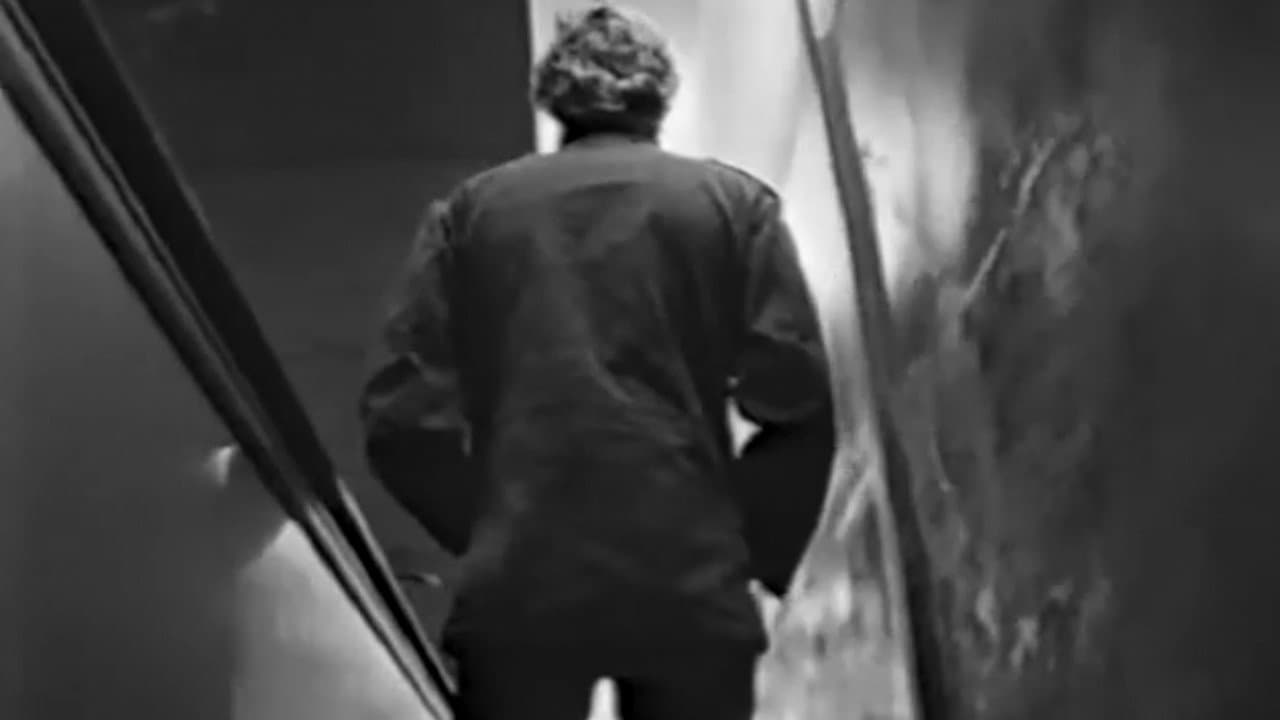 Backdrop – Vision for a New World