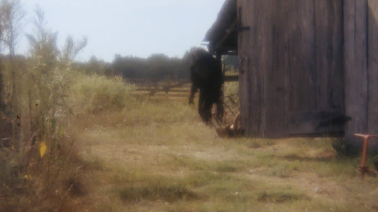 Backdrop – Boggy Creek II: And the Legend Continues