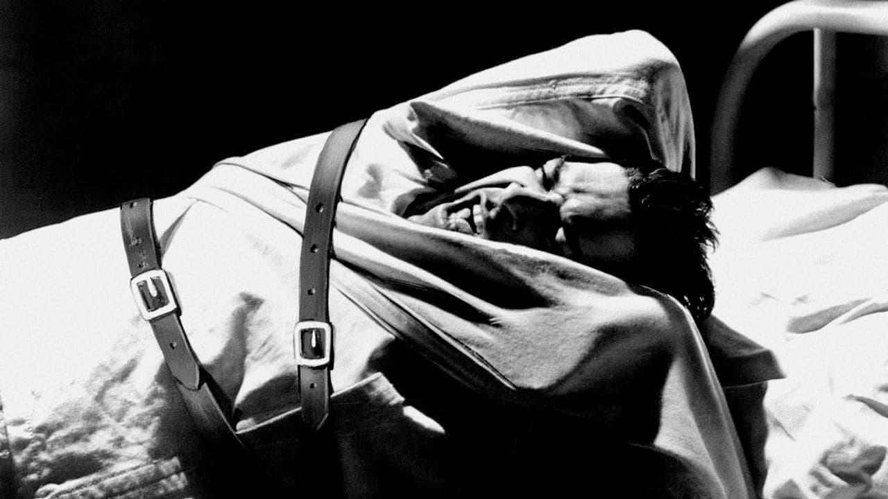 Backdrop – Schock-Korridor