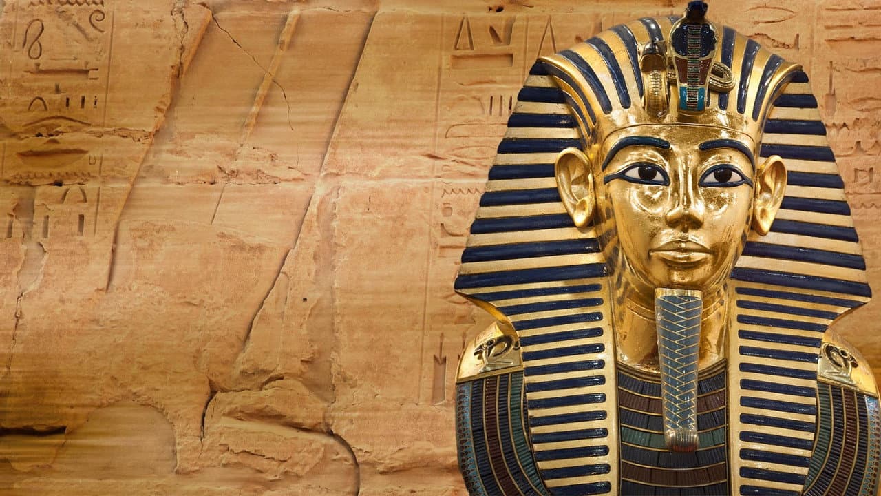 Backdrop – King Tut: Forgotten Treasure