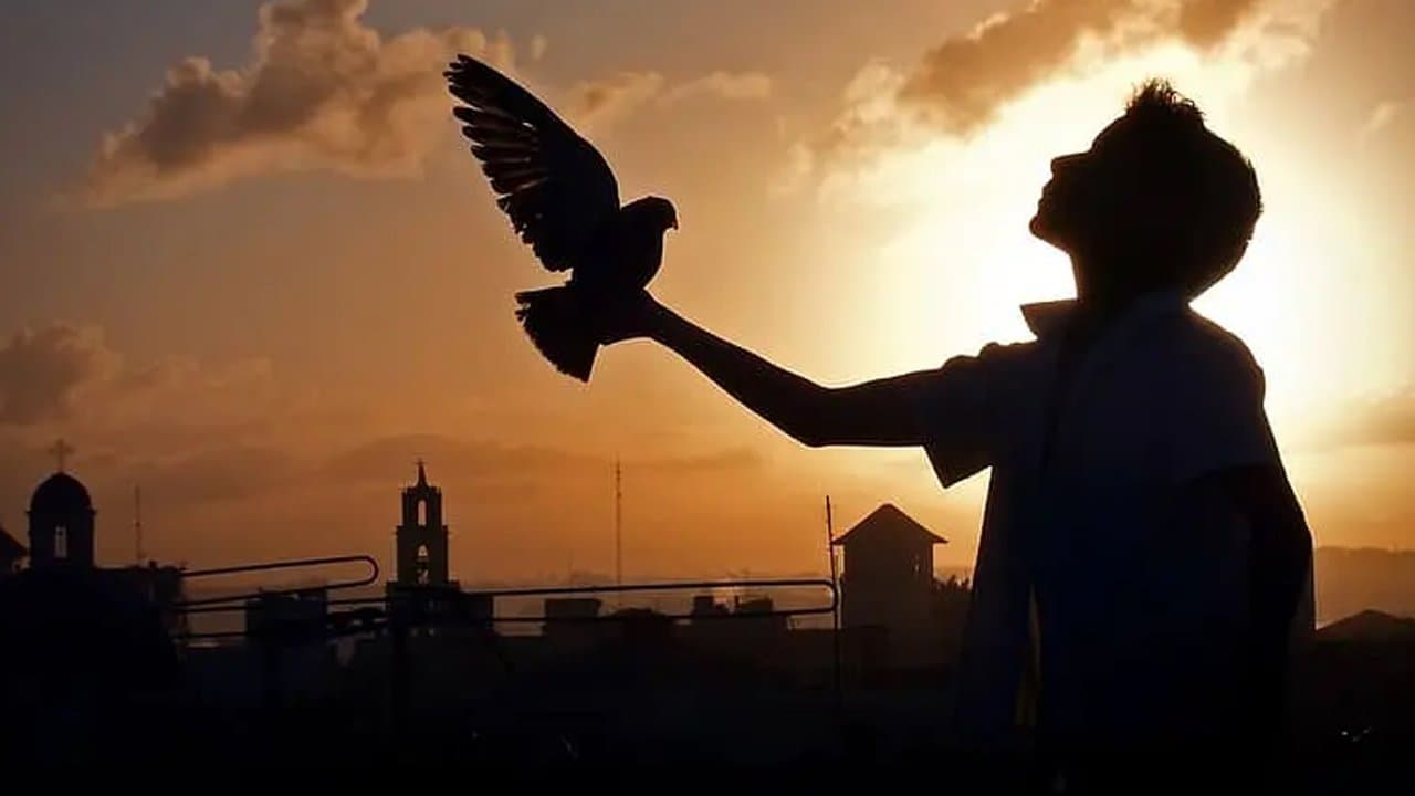 Backdrop – Conducta - Wir werden sein wie Che