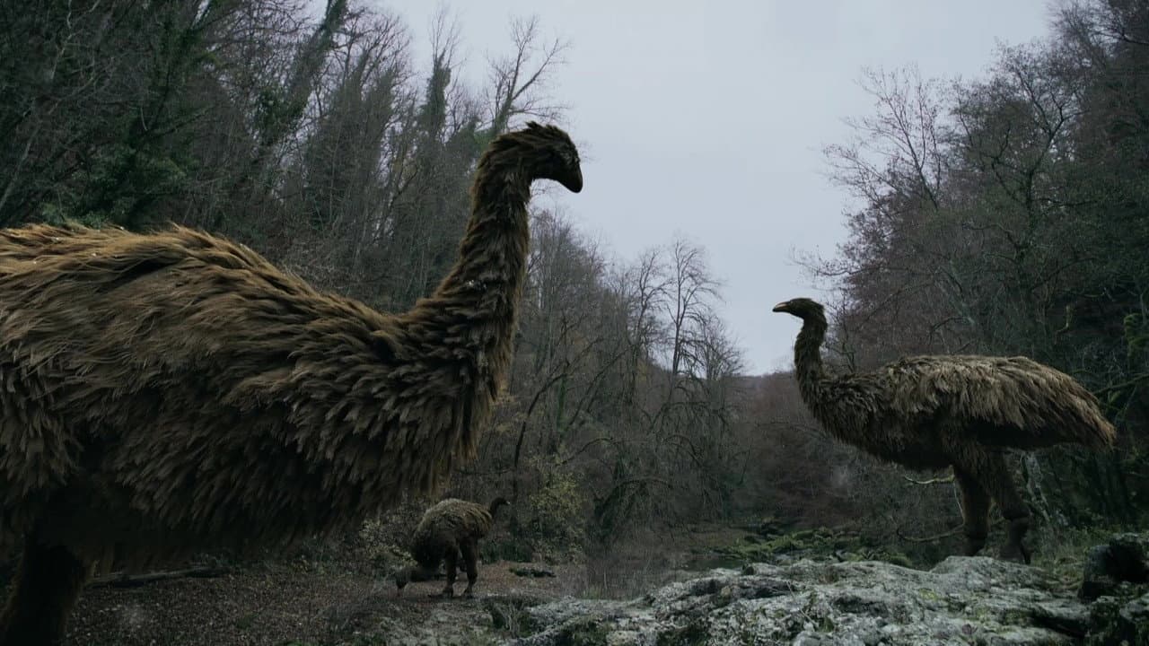 Backdrop – Das Rätsel der Riesen-Laufvögel