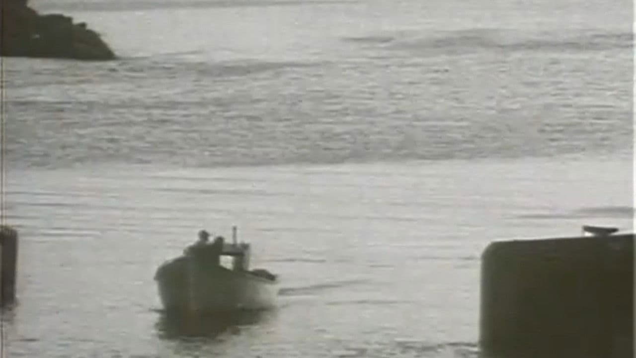 Backdrop – Fish or Cut Bait