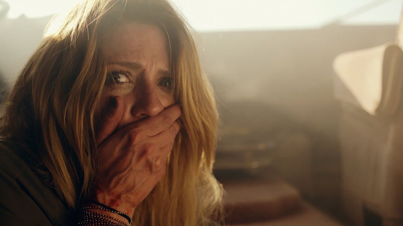 Backdrop – The Toybox