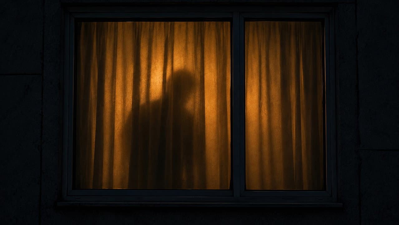 Backdrop – Every Angle