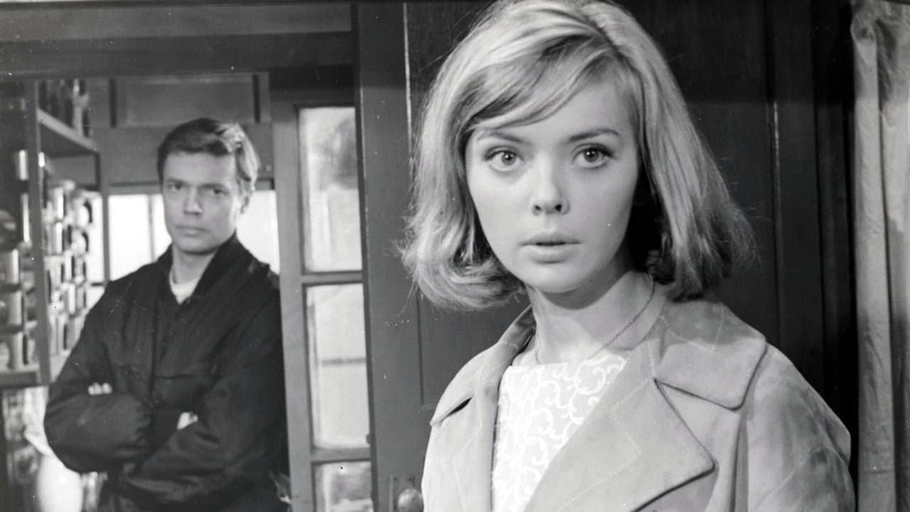 Backdrop – Rififi in Tokio