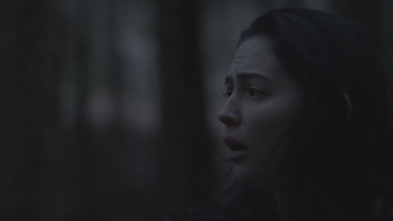 Backdrop – The Clearing