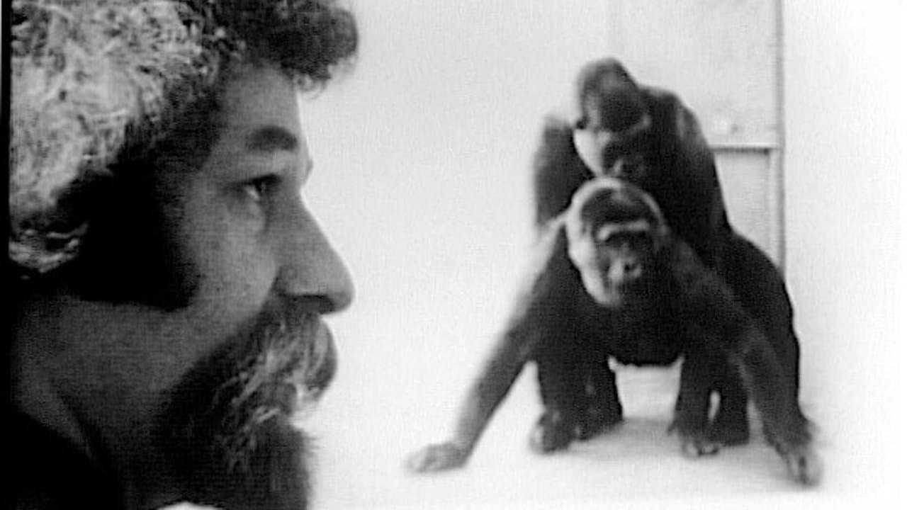 Backdrop – Primate