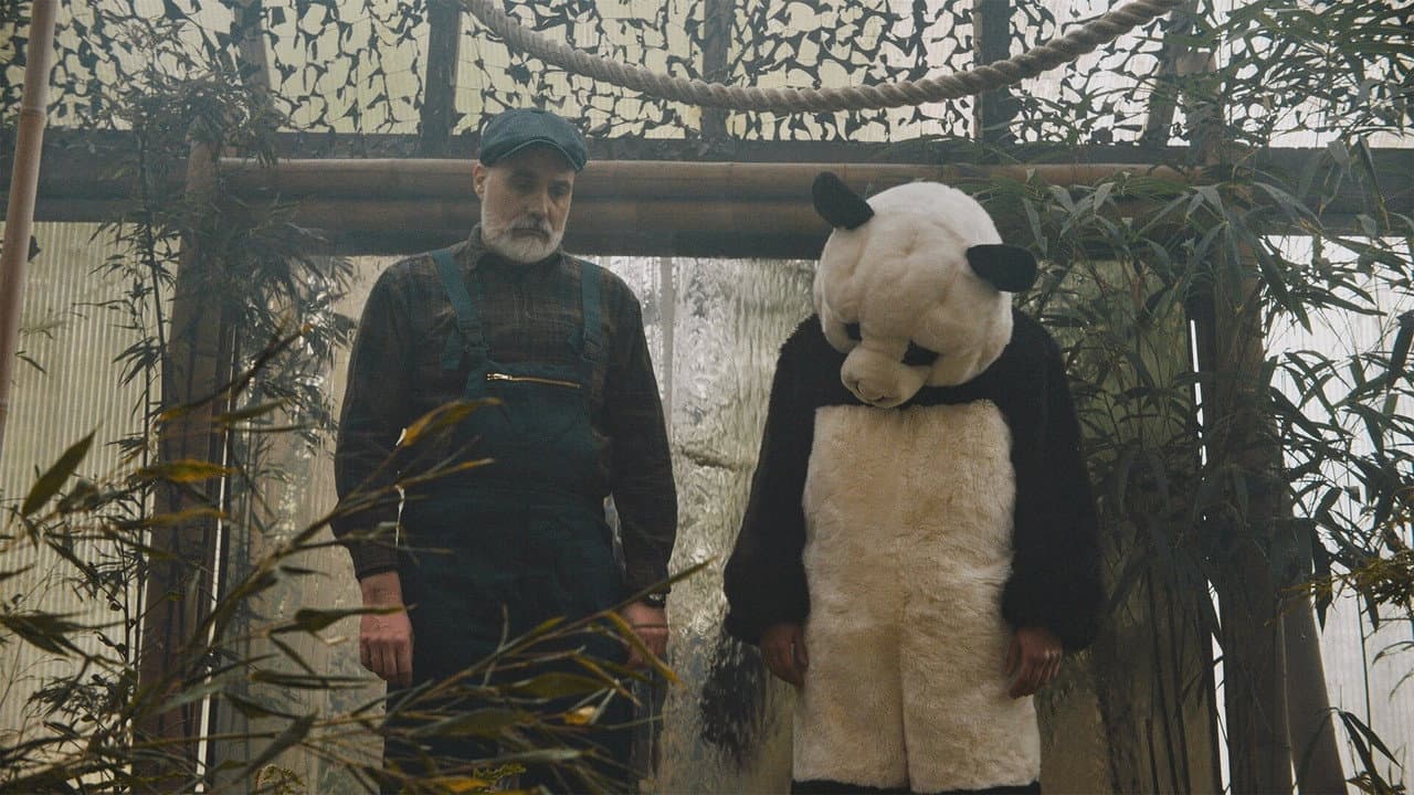 Backdrop – Von Friesen und Pandabären
