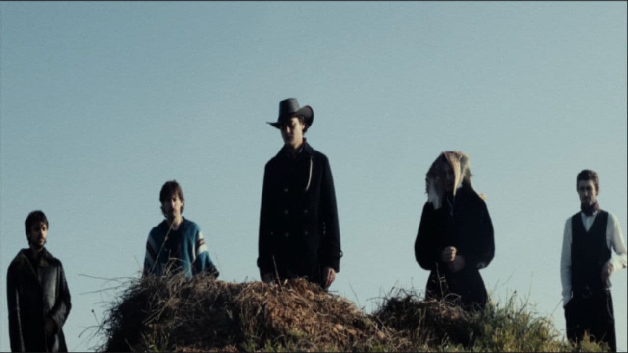 Backdrop – Salsola