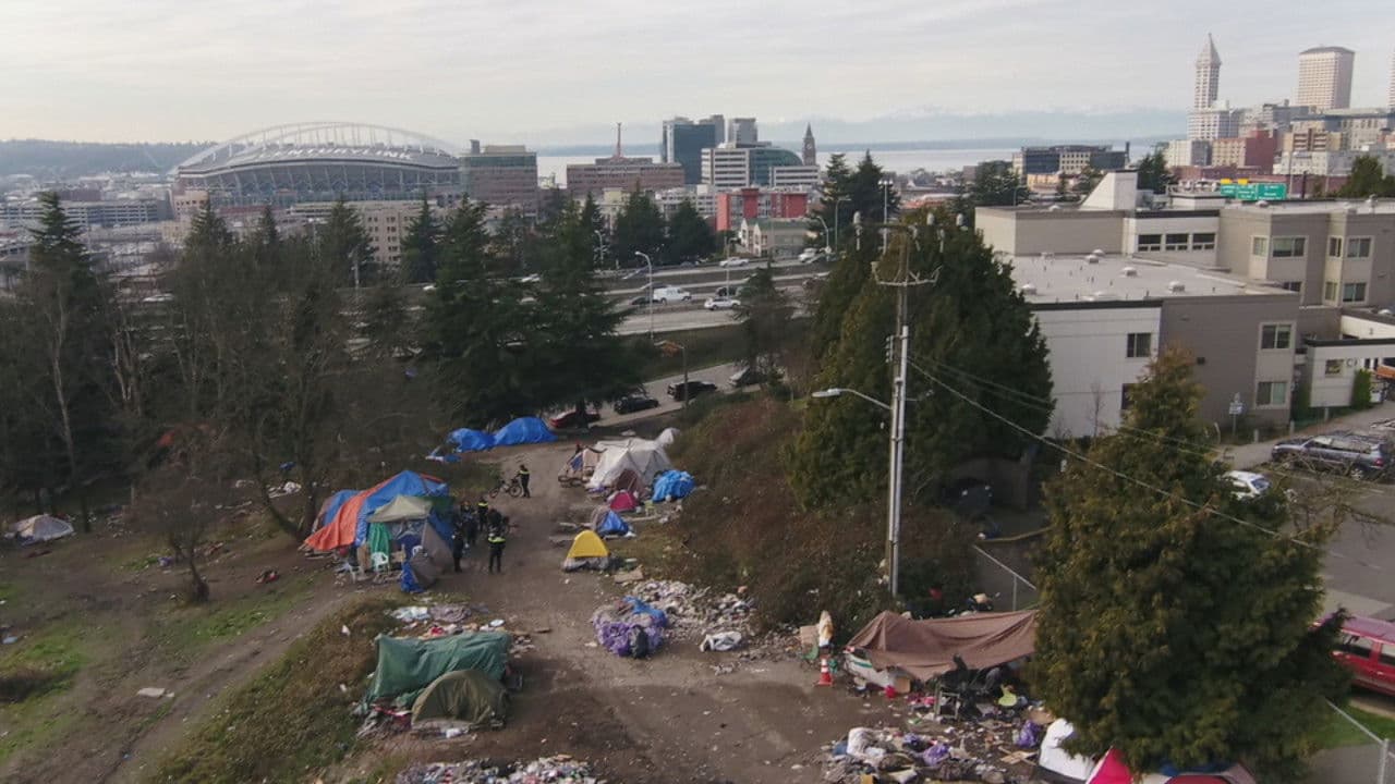 Backdrop – Seattle is Dying