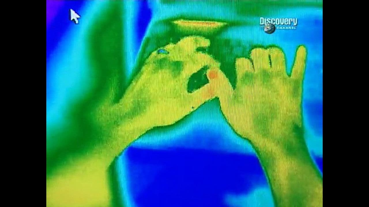 Backdrop – Hackers: Outlaws and Angels