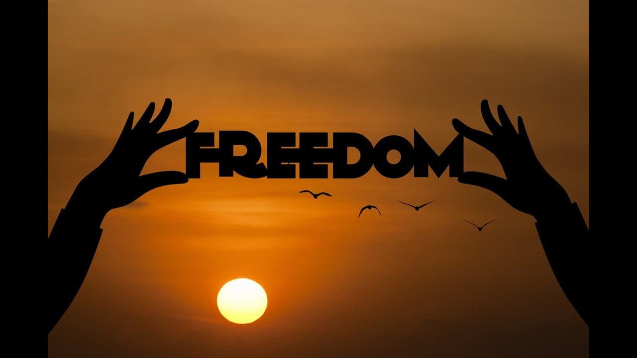 Backdrop – Just Be Free?