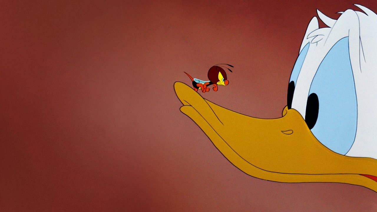 Backdrop – Donald, der Hobbytapezierer