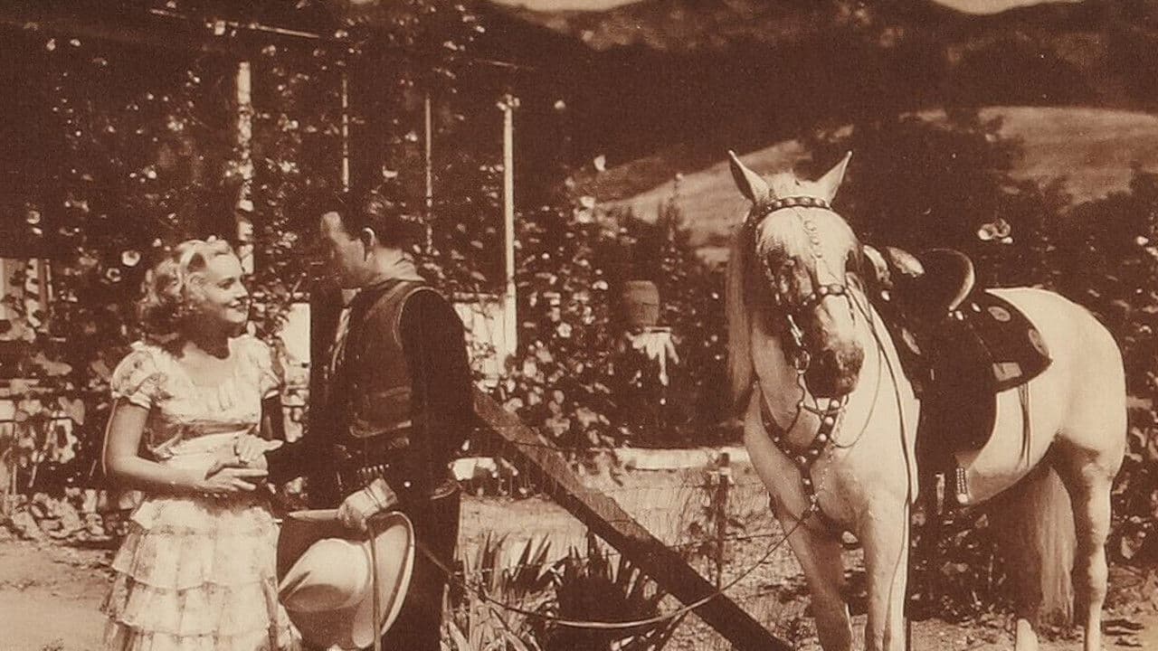 Backdrop – Cornered