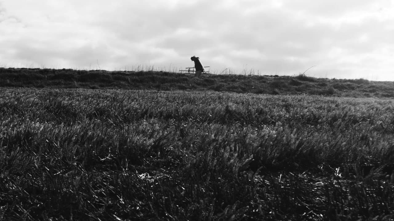 Backdrop – Landscaper