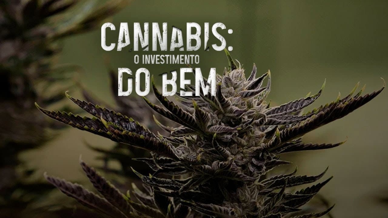 Backdrop – Cannabis: O Investimento do Bem